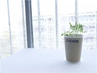 現在做什么生意能掙錢？這5種生意普通人不要碰！